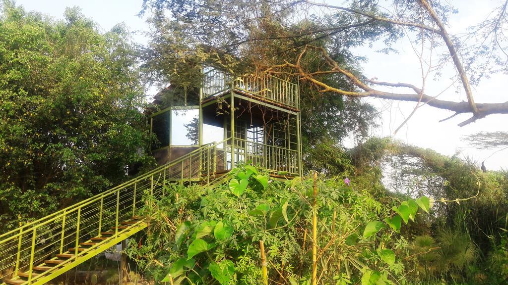 Yellow Haven Lodge 캄팔라 외부 사진
